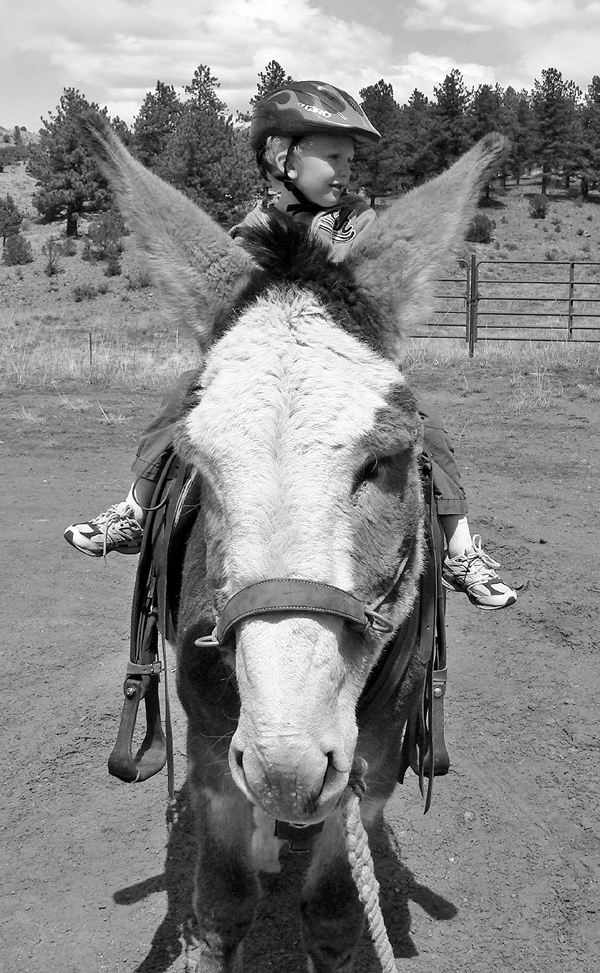 Harrison Walter on Ace the burro