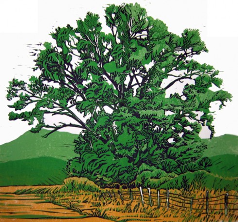 Cottonwood, Sherrie York, linocut