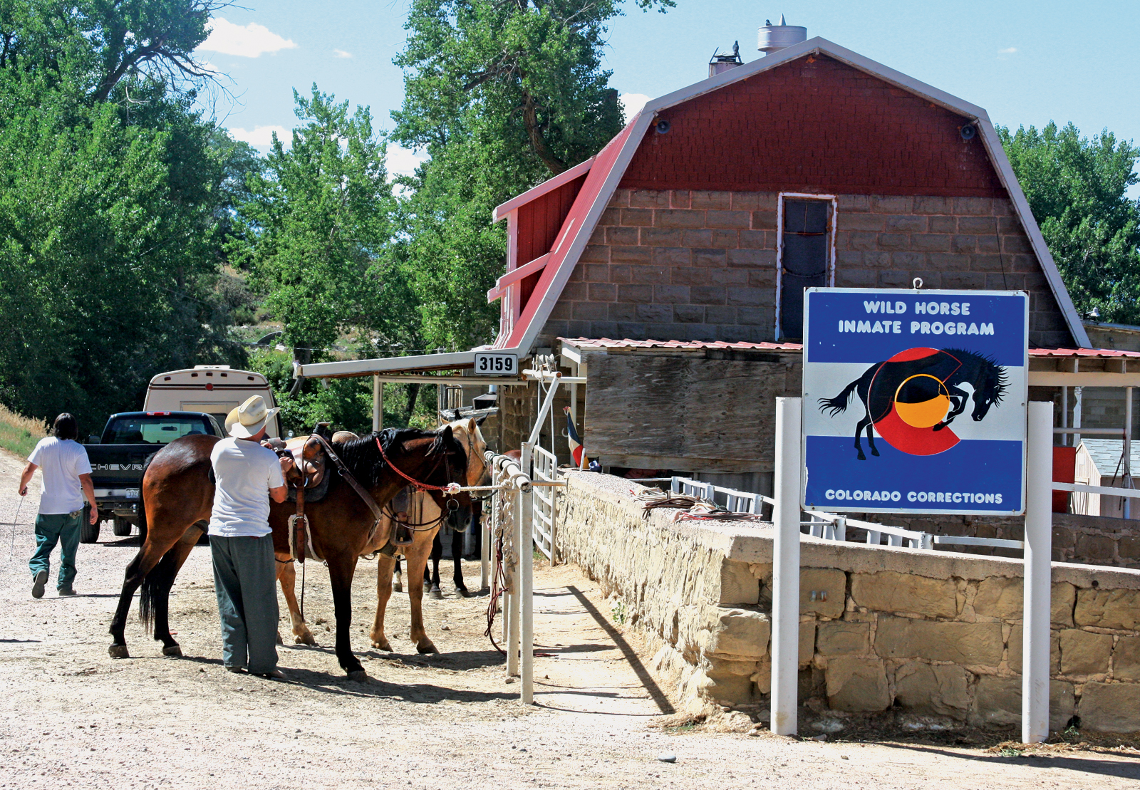 cci, colorado correctional, wild horses