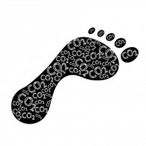 What’s Your Carbon Footprint?