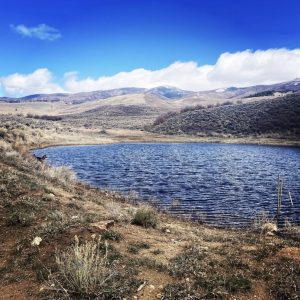 Little Pond Big Issues